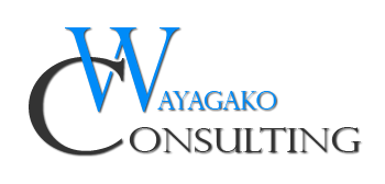 WAYAGAKO CONSULTING